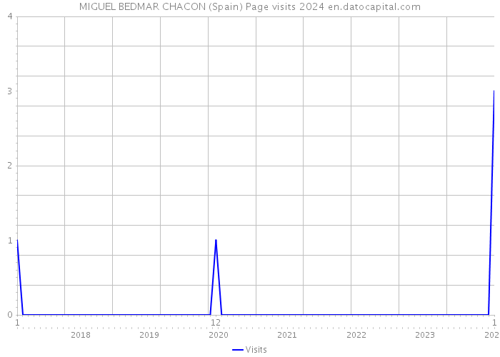 MIGUEL BEDMAR CHACON (Spain) Page visits 2024 