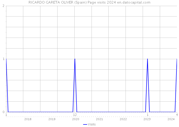 RICARDO GARETA OLIVER (Spain) Page visits 2024 