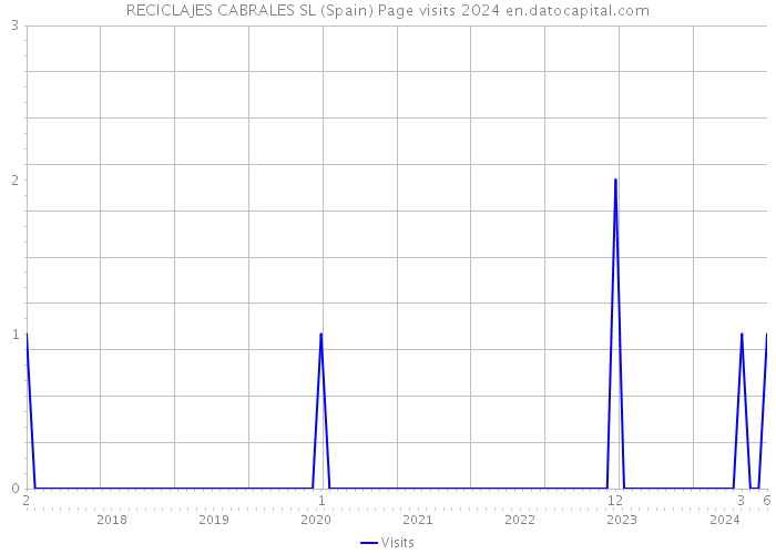 RECICLAJES CABRALES SL (Spain) Page visits 2024 