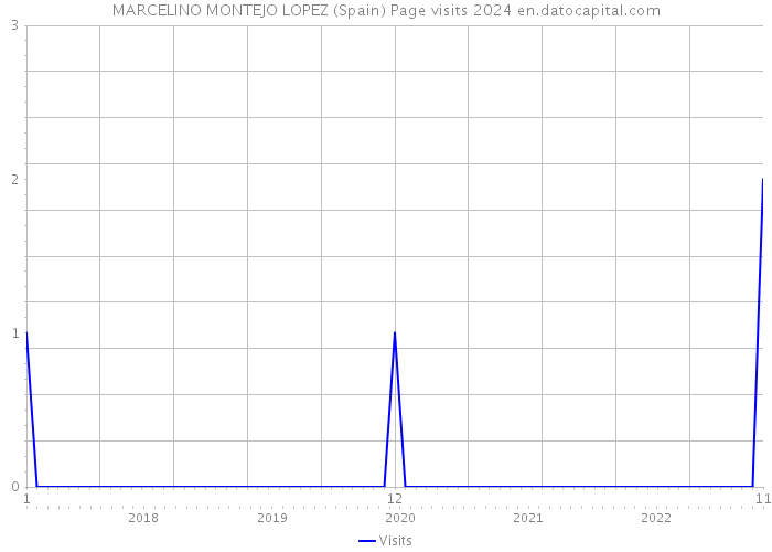 MARCELINO MONTEJO LOPEZ (Spain) Page visits 2024 