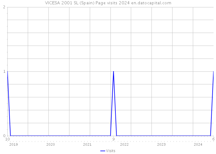 VICESA 2001 SL (Spain) Page visits 2024 