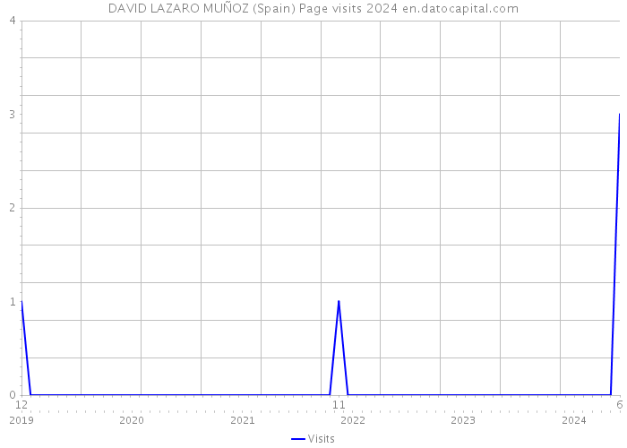 DAVID LAZARO MUÑOZ (Spain) Page visits 2024 