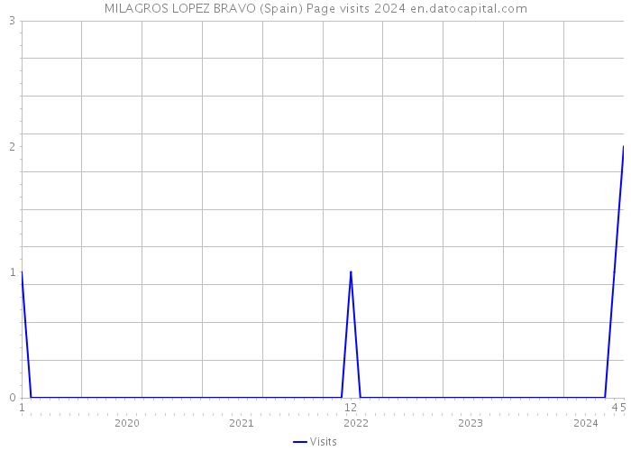 MILAGROS LOPEZ BRAVO (Spain) Page visits 2024 