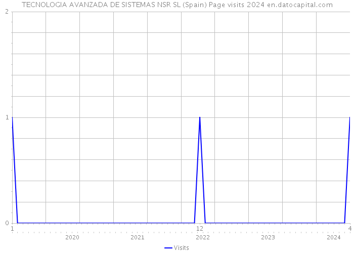 TECNOLOGIA AVANZADA DE SISTEMAS NSR SL (Spain) Page visits 2024 