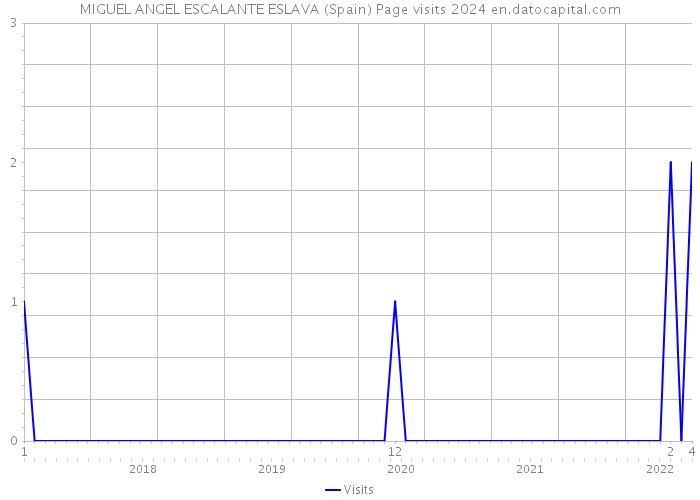 MIGUEL ANGEL ESCALANTE ESLAVA (Spain) Page visits 2024 