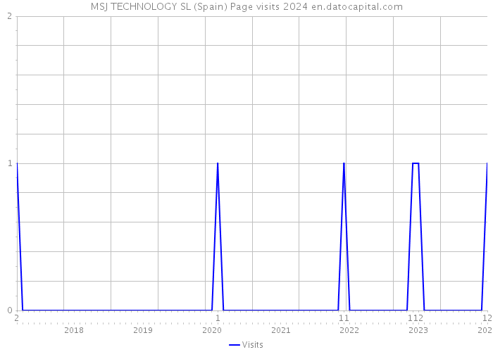 MSJ TECHNOLOGY SL (Spain) Page visits 2024 