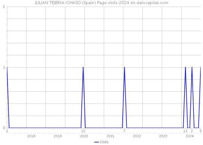 JULIAN TEJERIA ICHASO (Spain) Page visits 2024 