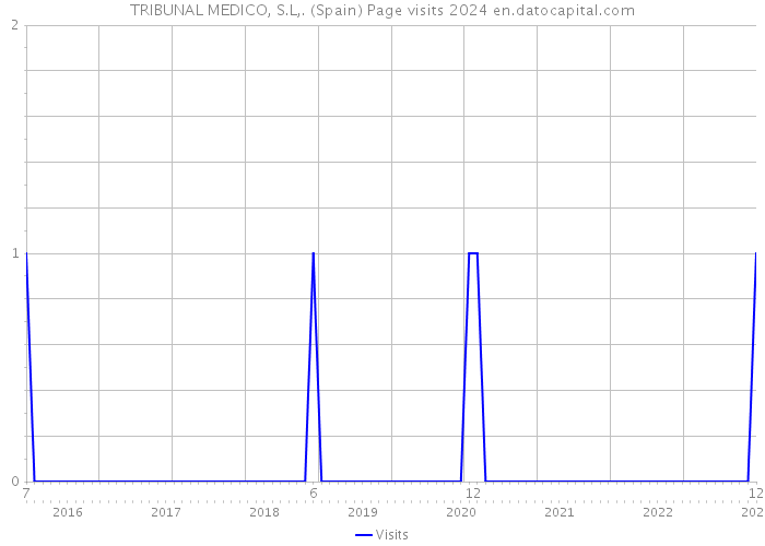 TRIBUNAL MEDICO, S.L,. (Spain) Page visits 2024 
