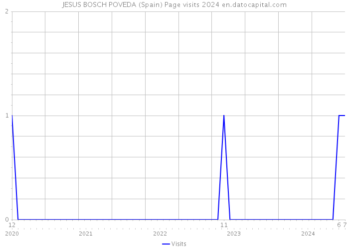 JESUS BOSCH POVEDA (Spain) Page visits 2024 