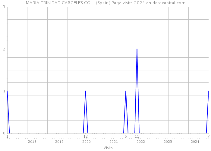 MARIA TRINIDAD CARCELES COLL (Spain) Page visits 2024 