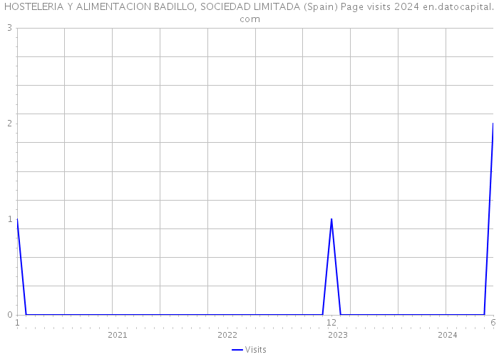 HOSTELERIA Y ALIMENTACION BADILLO, SOCIEDAD LIMITADA (Spain) Page visits 2024 