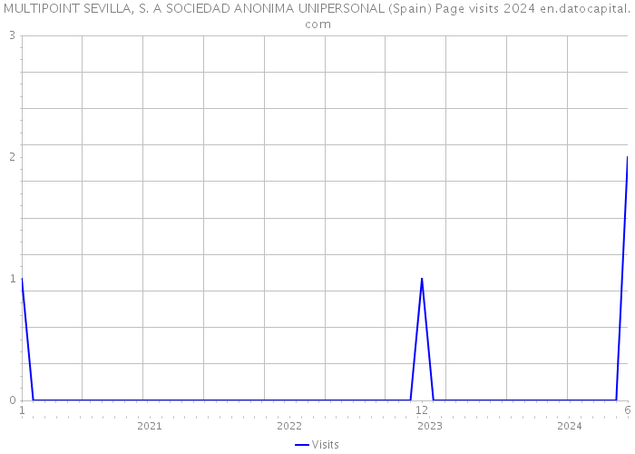 MULTIPOINT SEVILLA, S. A SOCIEDAD ANONIMA UNIPERSONAL (Spain) Page visits 2024 