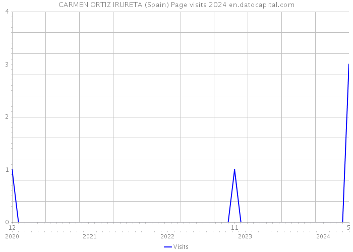 CARMEN ORTIZ IRURETA (Spain) Page visits 2024 