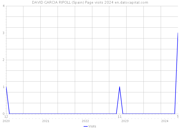 DAVID GARCIA RIPOLL (Spain) Page visits 2024 