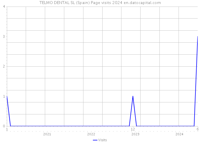 TELMO DENTAL SL (Spain) Page visits 2024 