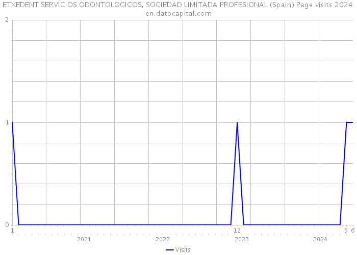 ETXEDENT SERVICIOS ODONTOLOGICOS, SOCIEDAD LIMITADA PROFESIONAL (Spain) Page visits 2024 