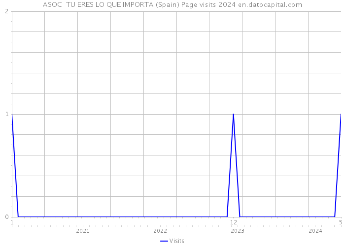 ASOC TU ERES LO QUE IMPORTA (Spain) Page visits 2024 