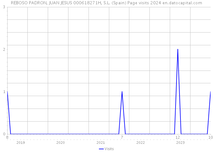 REBOSO PADRON, JUAN JESUS 000618271H, S.L. (Spain) Page visits 2024 