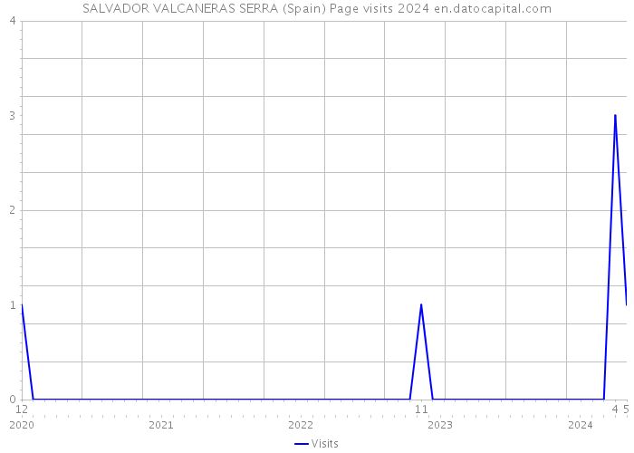 SALVADOR VALCANERAS SERRA (Spain) Page visits 2024 