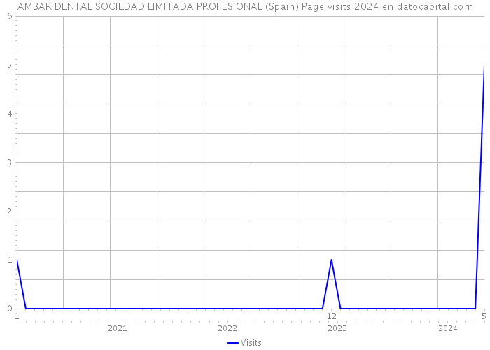 AMBAR DENTAL SOCIEDAD LIMITADA PROFESIONAL (Spain) Page visits 2024 