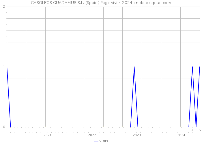 GASOLEOS GUADAMUR S.L. (Spain) Page visits 2024 