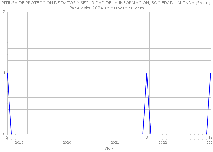 PITIUSA DE PROTECCION DE DATOS Y SEGURIDAD DE LA INFORMACION, SOCIEDAD LIMITADA (Spain) Page visits 2024 