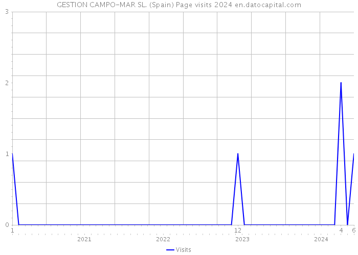 GESTION CAMPO-MAR SL. (Spain) Page visits 2024 