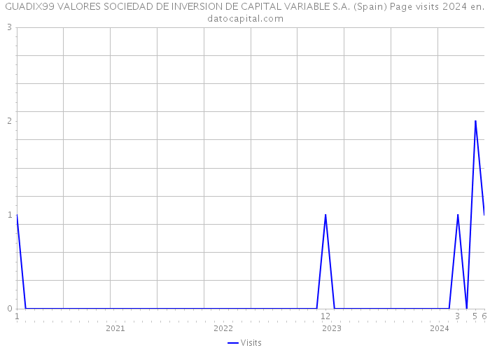 GUADIX99 VALORES SOCIEDAD DE INVERSION DE CAPITAL VARIABLE S.A. (Spain) Page visits 2024 