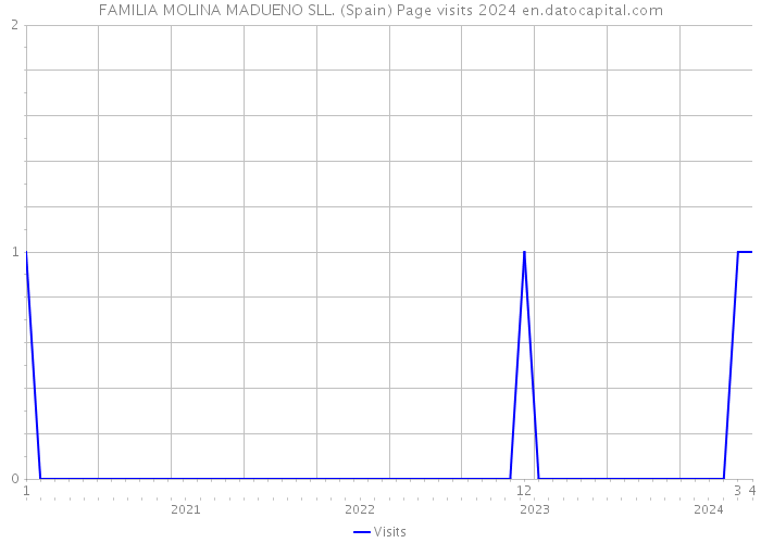 FAMILIA MOLINA MADUENO SLL. (Spain) Page visits 2024 