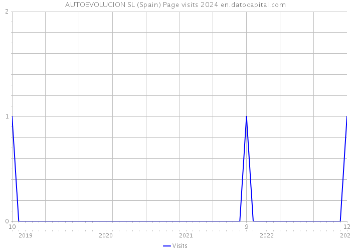 AUTOEVOLUCION SL (Spain) Page visits 2024 