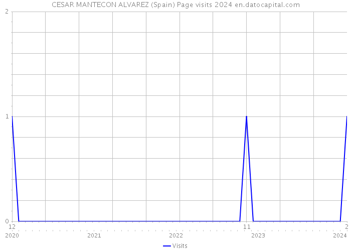 CESAR MANTECON ALVAREZ (Spain) Page visits 2024 