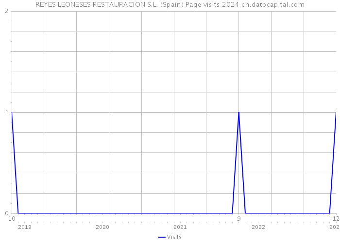 REYES LEONESES RESTAURACION S.L. (Spain) Page visits 2024 