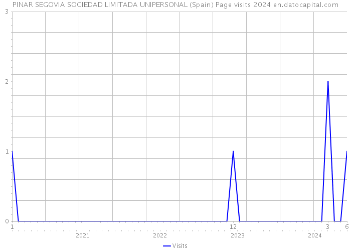 PINAR SEGOVIA SOCIEDAD LIMITADA UNIPERSONAL (Spain) Page visits 2024 