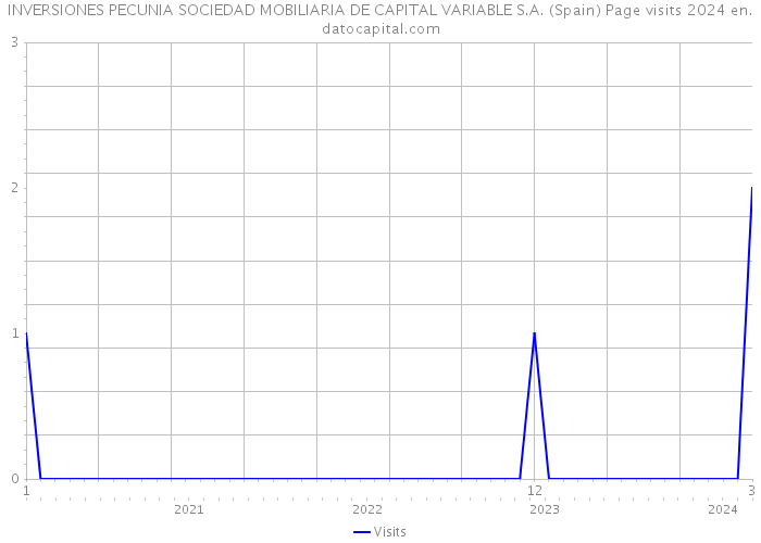 INVERSIONES PECUNIA SOCIEDAD MOBILIARIA DE CAPITAL VARIABLE S.A. (Spain) Page visits 2024 
