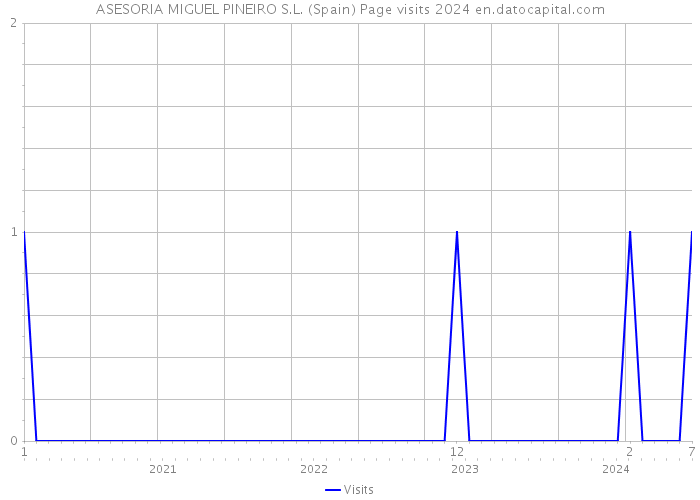 ASESORIA MIGUEL PINEIRO S.L. (Spain) Page visits 2024 