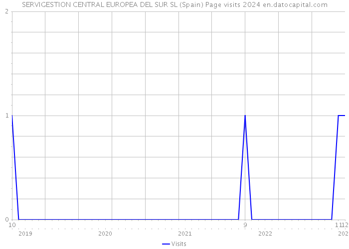 SERVIGESTION CENTRAL EUROPEA DEL SUR SL (Spain) Page visits 2024 