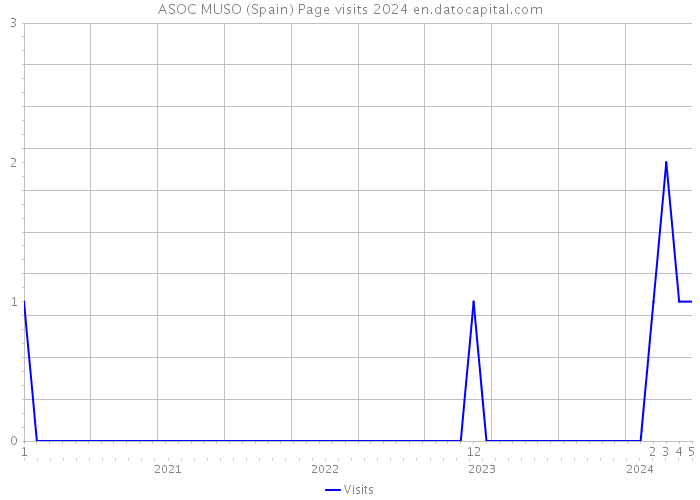ASOC MUSO (Spain) Page visits 2024 