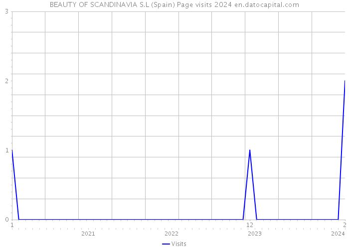 BEAUTY OF SCANDINAVIA S.L (Spain) Page visits 2024 