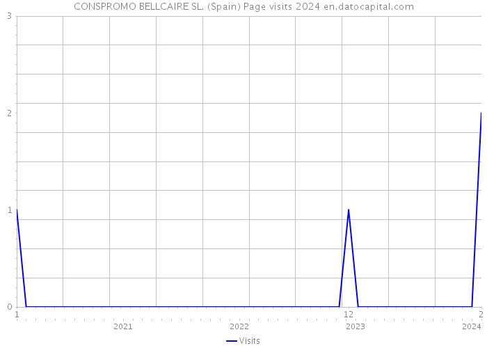 CONSPROMO BELLCAIRE SL. (Spain) Page visits 2024 