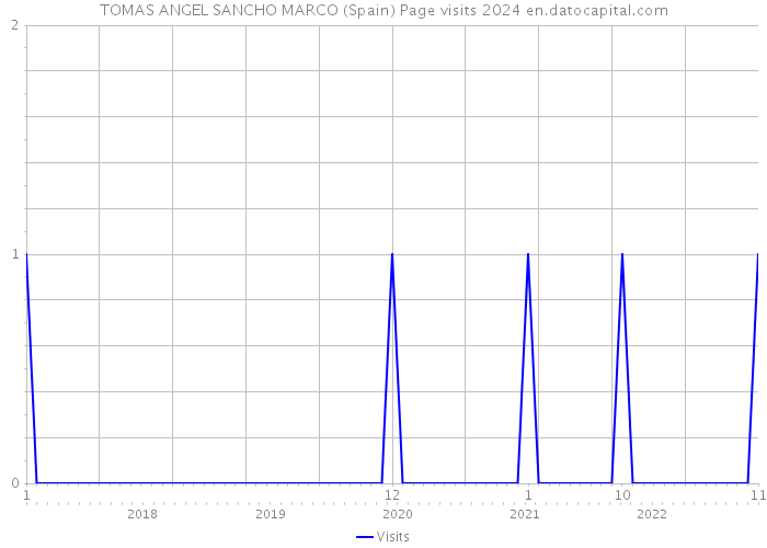 TOMAS ANGEL SANCHO MARCO (Spain) Page visits 2024 