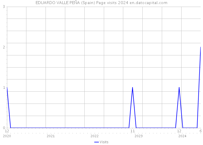 EDUARDO VALLE PEÑA (Spain) Page visits 2024 