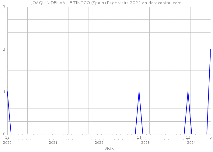 JOAQUIN DEL VALLE TINOCO (Spain) Page visits 2024 