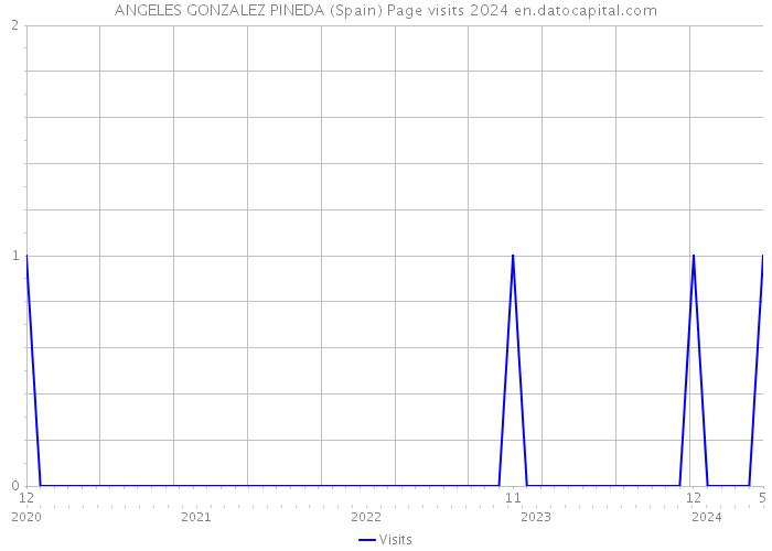 ANGELES GONZALEZ PINEDA (Spain) Page visits 2024 