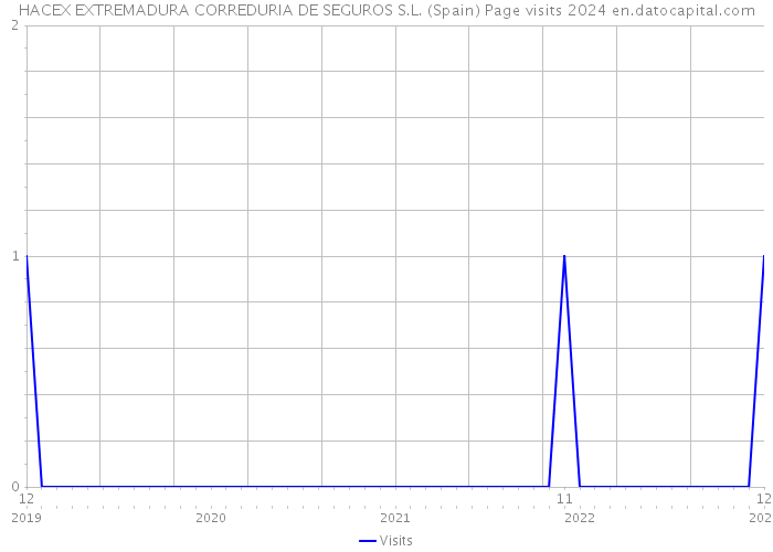 HACEX EXTREMADURA CORREDURIA DE SEGUROS S.L. (Spain) Page visits 2024 