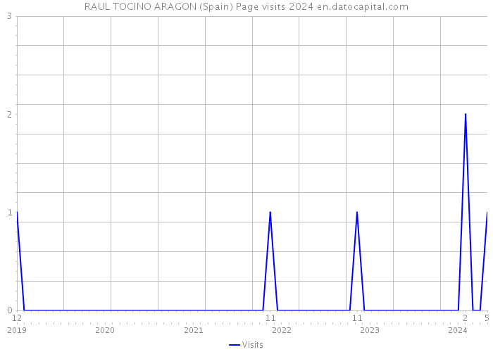 RAUL TOCINO ARAGON (Spain) Page visits 2024 