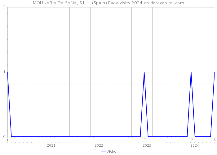 MOLINAR VIDA SANA, S.L.U. (Spain) Page visits 2024 