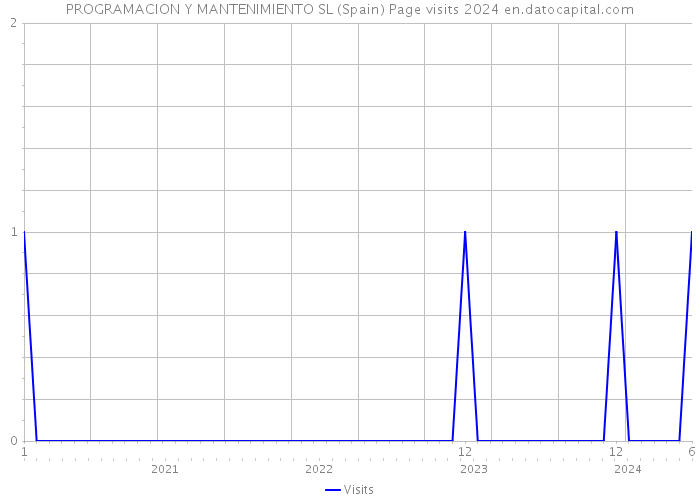 PROGRAMACION Y MANTENIMIENTO SL (Spain) Page visits 2024 