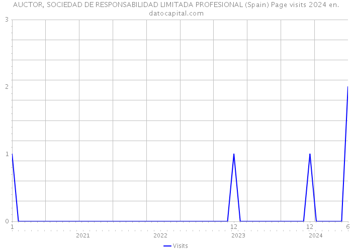 AUCTOR, SOCIEDAD DE RESPONSABILIDAD LIMITADA PROFESIONAL (Spain) Page visits 2024 