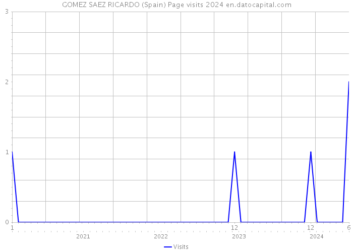 GOMEZ SAEZ RICARDO (Spain) Page visits 2024 