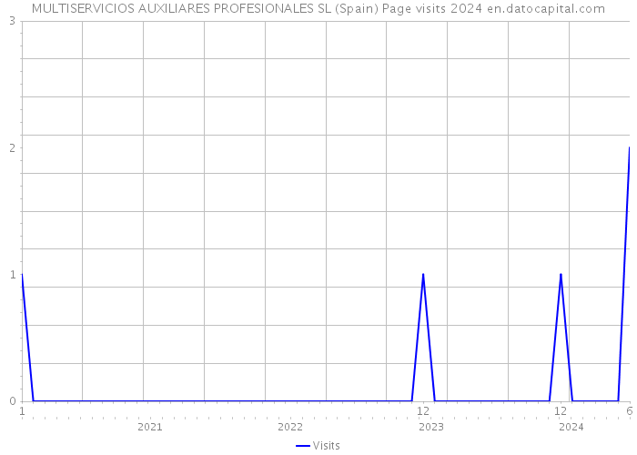 MULTISERVICIOS AUXILIARES PROFESIONALES SL (Spain) Page visits 2024 